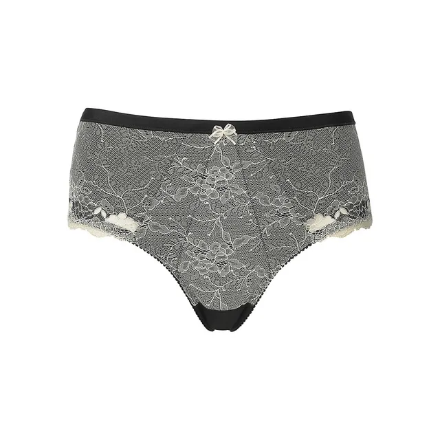 Wonderbra 684 Chantilly Lace Brief 3 Wonderbra 684 Chantilly Lace Brief